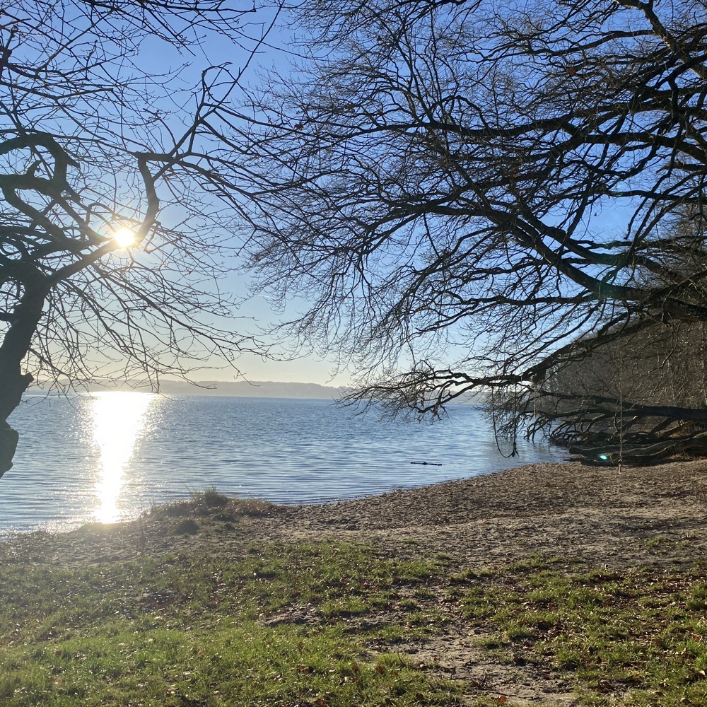 Elsker at komme ud i naturen 🌸🌺